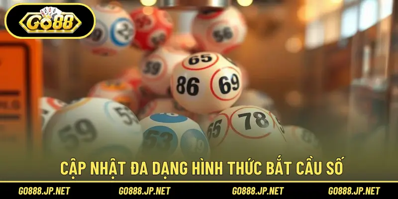 Cập nhật đa dạng hình thức bắt cầu số