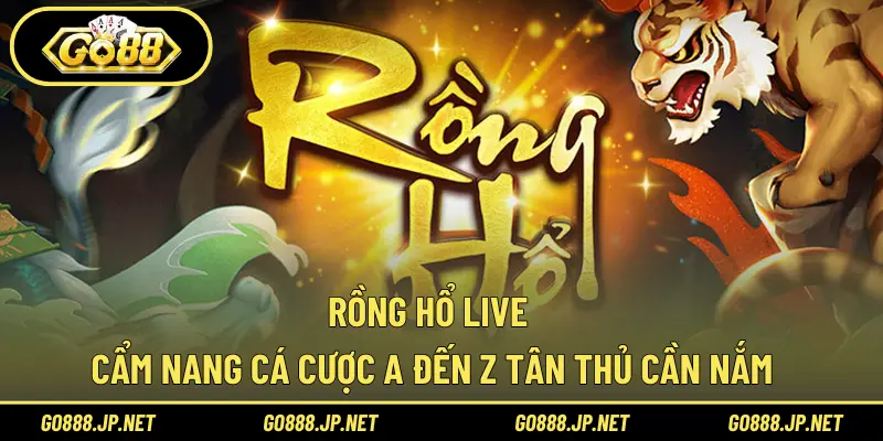Rồng Hổ live