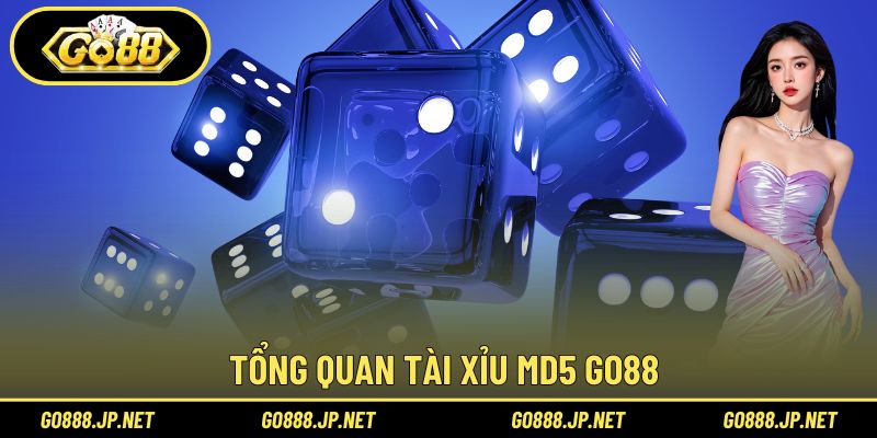 Tổng quan Tài Xỉu MD5 Go88